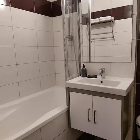 Transylvania Cozy Studio Brasov