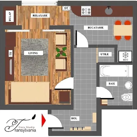 Transylvania Cozy Studio Apartment